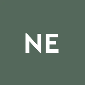 Nuova Edilizia Residenziale S.r.l.