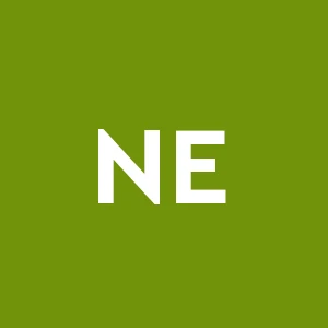 Nuova Edilizia  S.r.l.