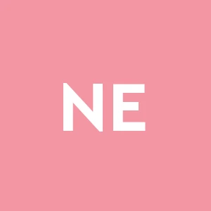 Nuova Edilizia S.r.l.s.