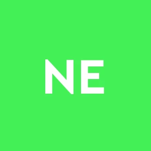 Nuova Emilia Servizi Semplificata