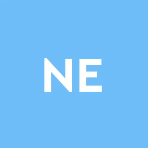 Nuova Ergo Piani Societa' a Responsabilita' Limitata