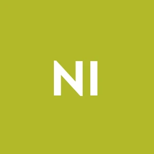 Nuove Iniziative Srl