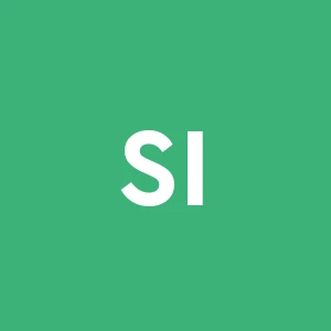 Sace Internazionale Srl