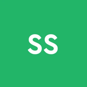 S.c.a.e.s. Societa' Costruzioni Appalti Edili Stradali S.r.l.
