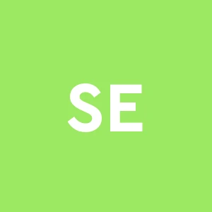 Ser.com.