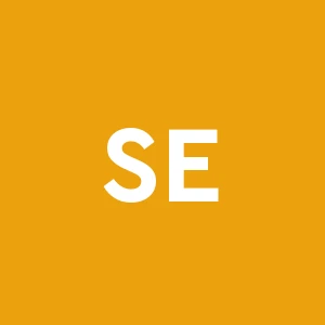 Societa' Europea Servizi Edili Srl