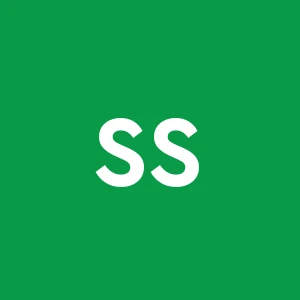 Sv S.r.l.