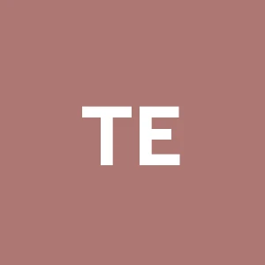 Toppi Emilio Restauri S.r.l.