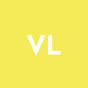 Vianini Lavori - S.p.a.
