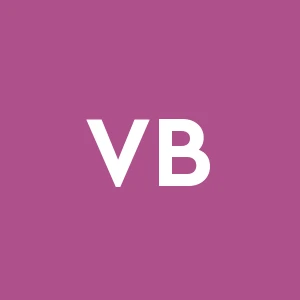 Vis Bau S.r.l.