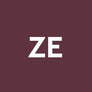 Zini e Zambelli Costruzioni (s.r.l.)impresa Edili