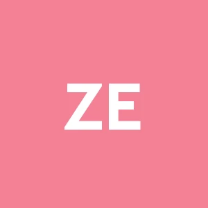 Zini Elio S.r.l.